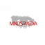 Minds Eye Media
